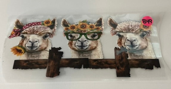 B49 - Llamas