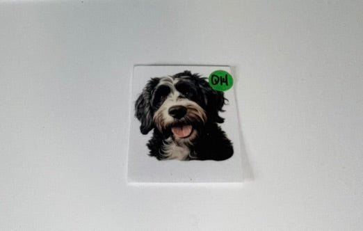 Q14 - Dogs Decal