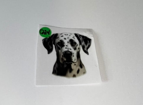 Q24 - Dogs Decal