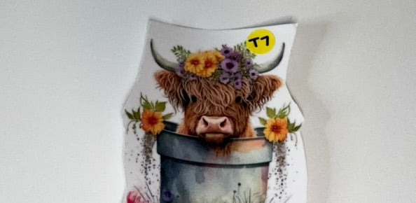 T7 - Cows Decal