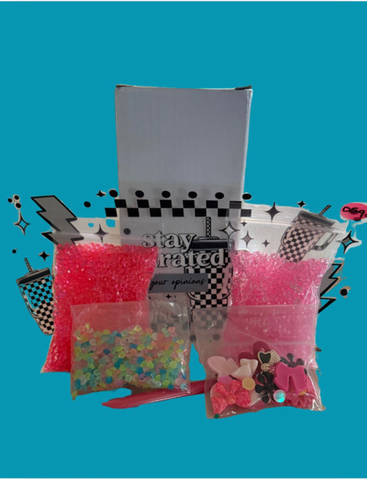 Snow Globe DIY Kits