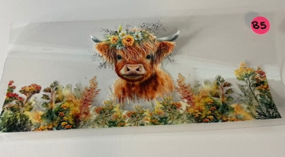 B5 - Highland Cow 2