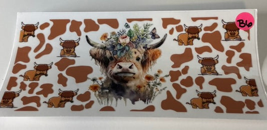 B6 - Highland Cow 3