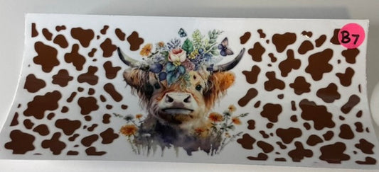 B7 - Highland Cow 4