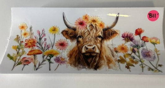 B11 - Highland Cow 6