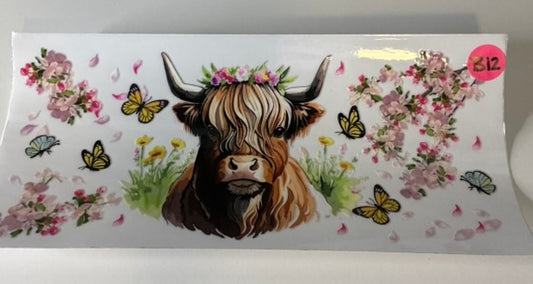 B12 - Highland Cow 7