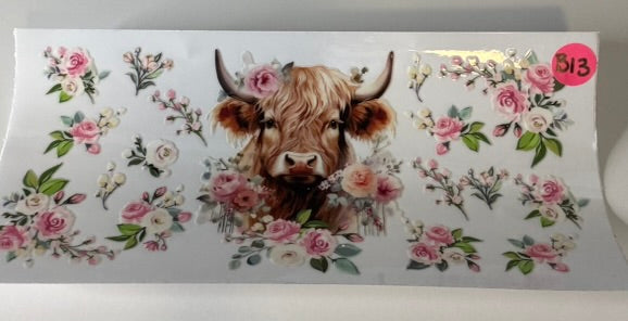 B13 - Highland Cow 8