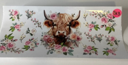 B13 - Highland Cow 8