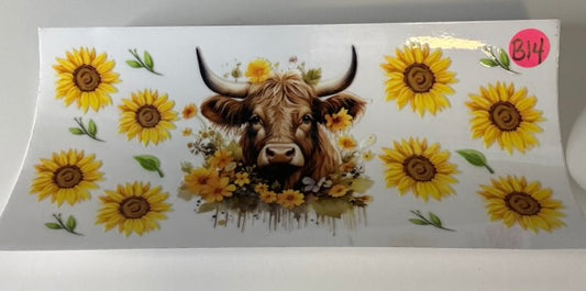 B14 - Highland Cow 9