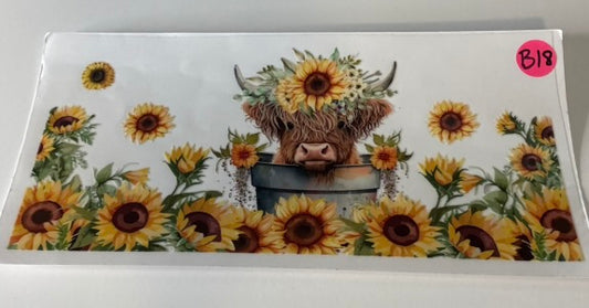 B18 - Highland Cow 10