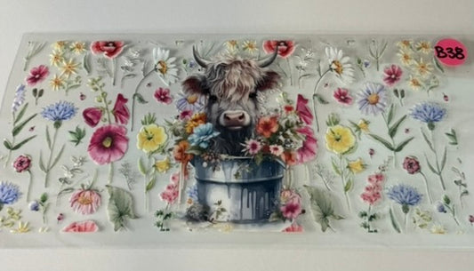 B38 - Highland Cow 13