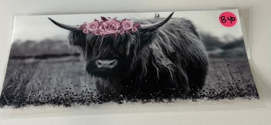 B40 - Highland Cow 14