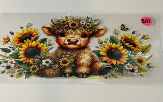 B47 - Cow and Sunflowers