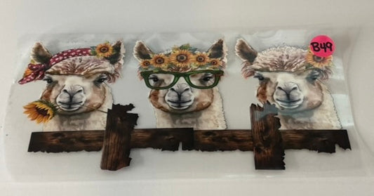 B49 - Llamas