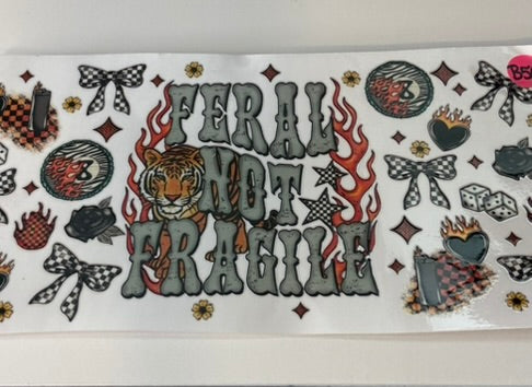 B56 - Feral Not Fragile