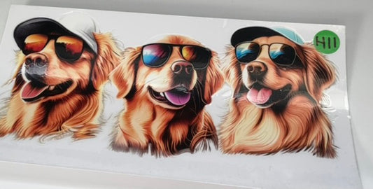 H11 - Golden Retriever with Sunglasses