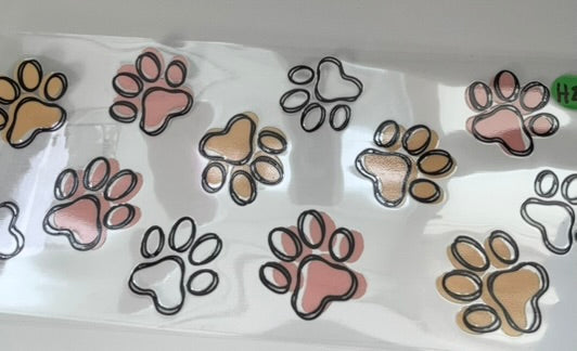 H20 - Paw Prints