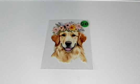 Q10 - Dogs Decal