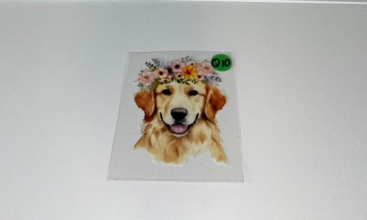 Q10 - Dogs Decal