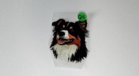 Q11 - Dogs Decal