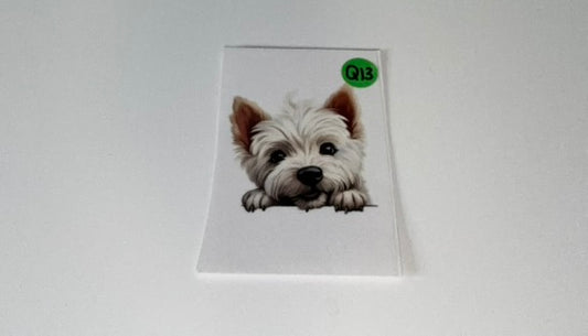 Q13 - Dogs Decal