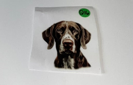 Q16 - Dogs Decal