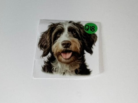 Q18 - Dogs Decal