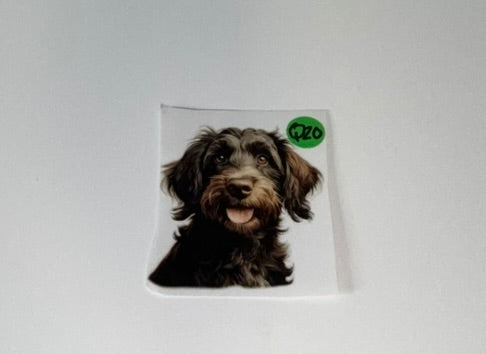 Q20 - Dogs Decal