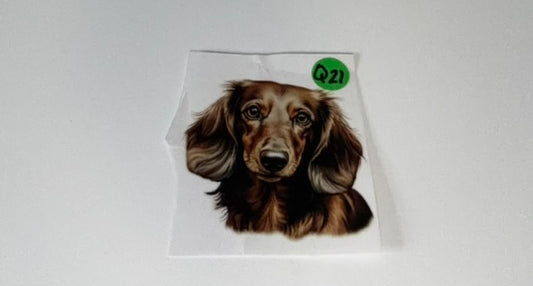 Q21 - Dogs Decal