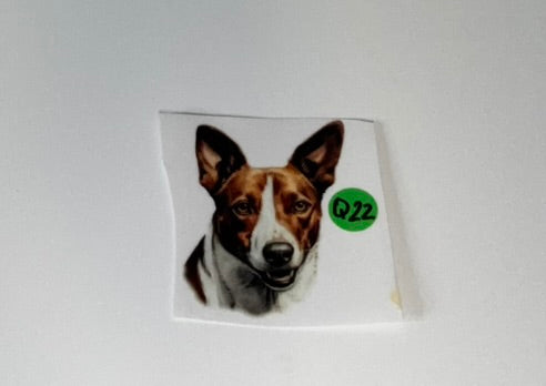 Q22 - Dogs Decal