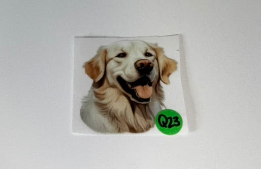Q23 - Dogs Decal