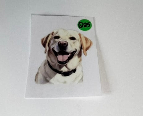 Q25 - Dogs Decal